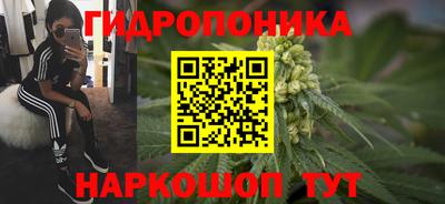 стафф Заволжье