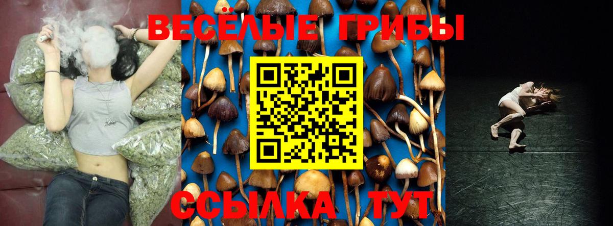 Карачаевск  Галлюциногенные грибы Psilocybe  Вход с VPN  Галлюциногенные грибы мицелий 